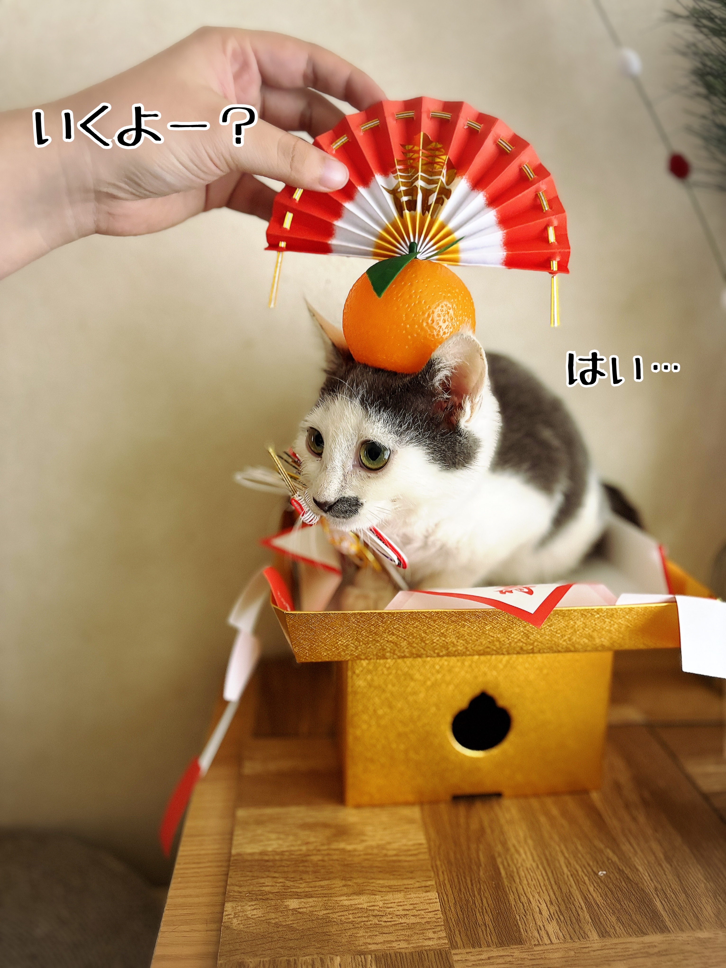 ねこ鏡餅 一体型 少し大きめ 径12cm