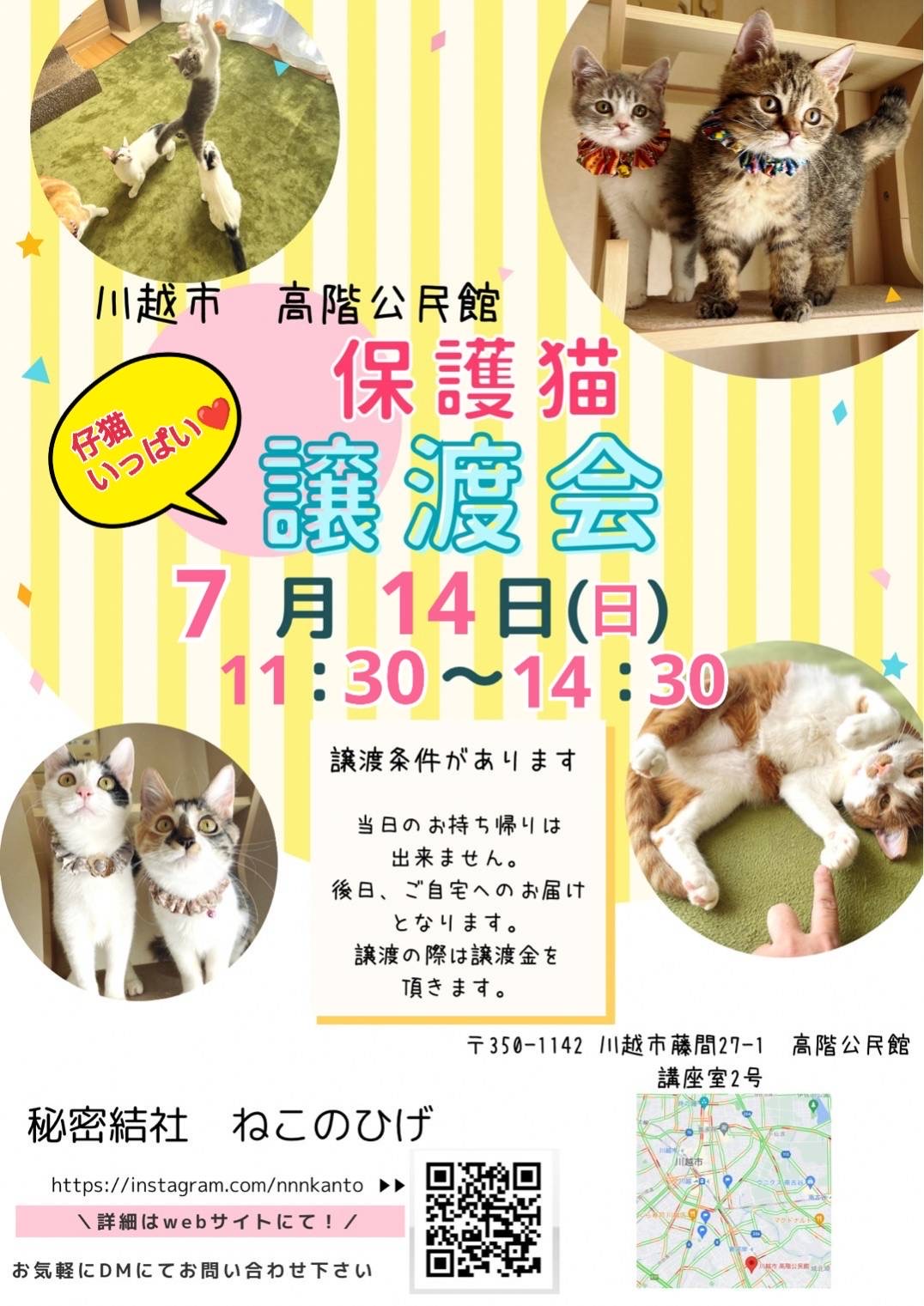 おねこさまの御砂 ベントナイト配合 6L | ONEKOSAMA OINUSAMA