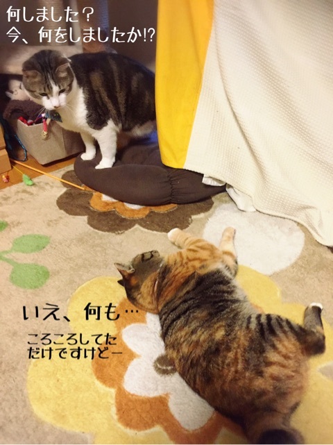 {C18475FB-8AC5-4FF0-9CE1-BDE38B1075C1}
