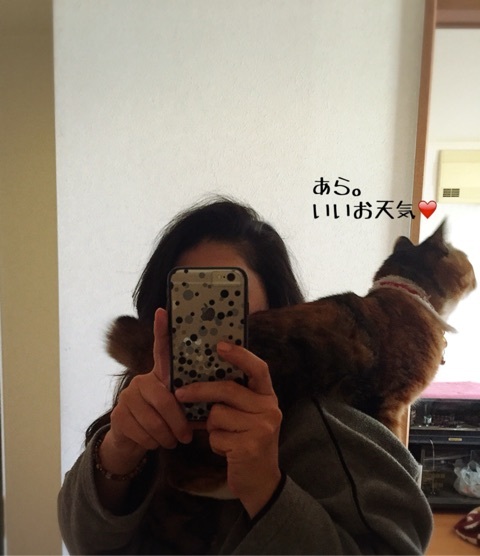 {A56C6DDD-DBDA-4C82-B6B5-6B5A6336B5DE:01}