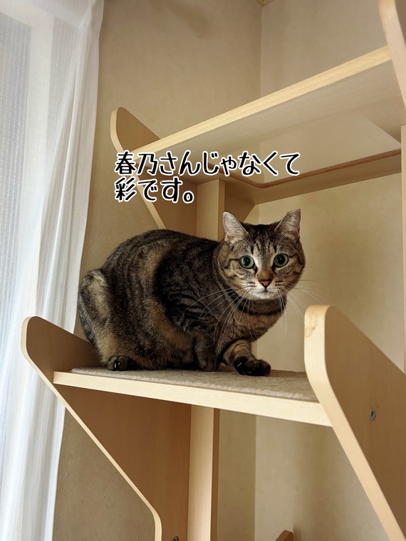IMG_8344