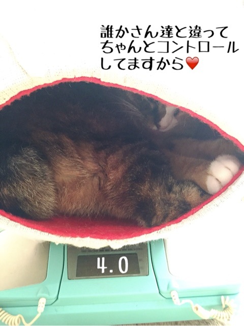 {D88955BF-8B25-4B97-A94F-616C6E4D79C9:01}