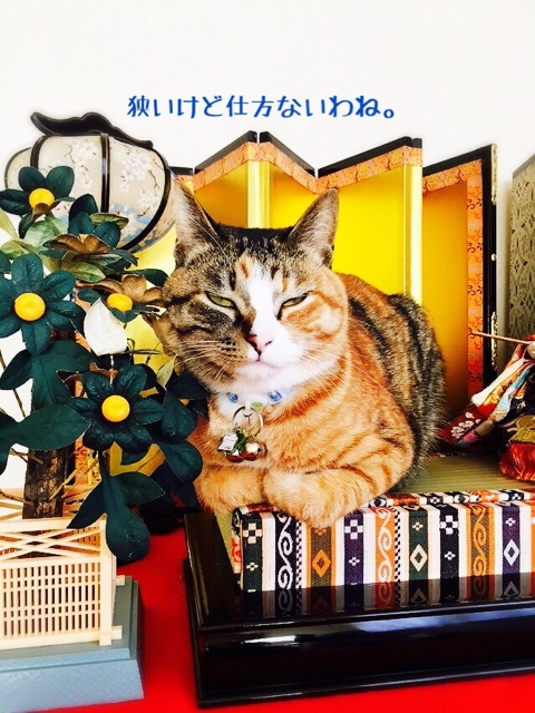 {8F79E9A6-13B2-4F0A-9C98-AEDA7B5E5EA7:01}