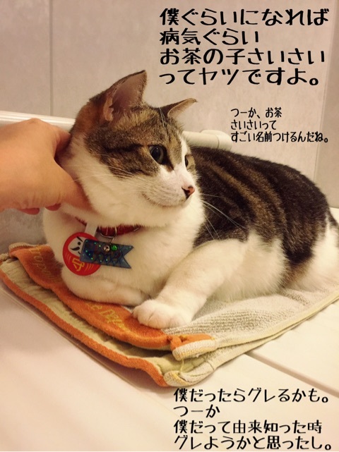 {07AFA1C4-A35F-4699-BD47-9819B9AC6AA3}