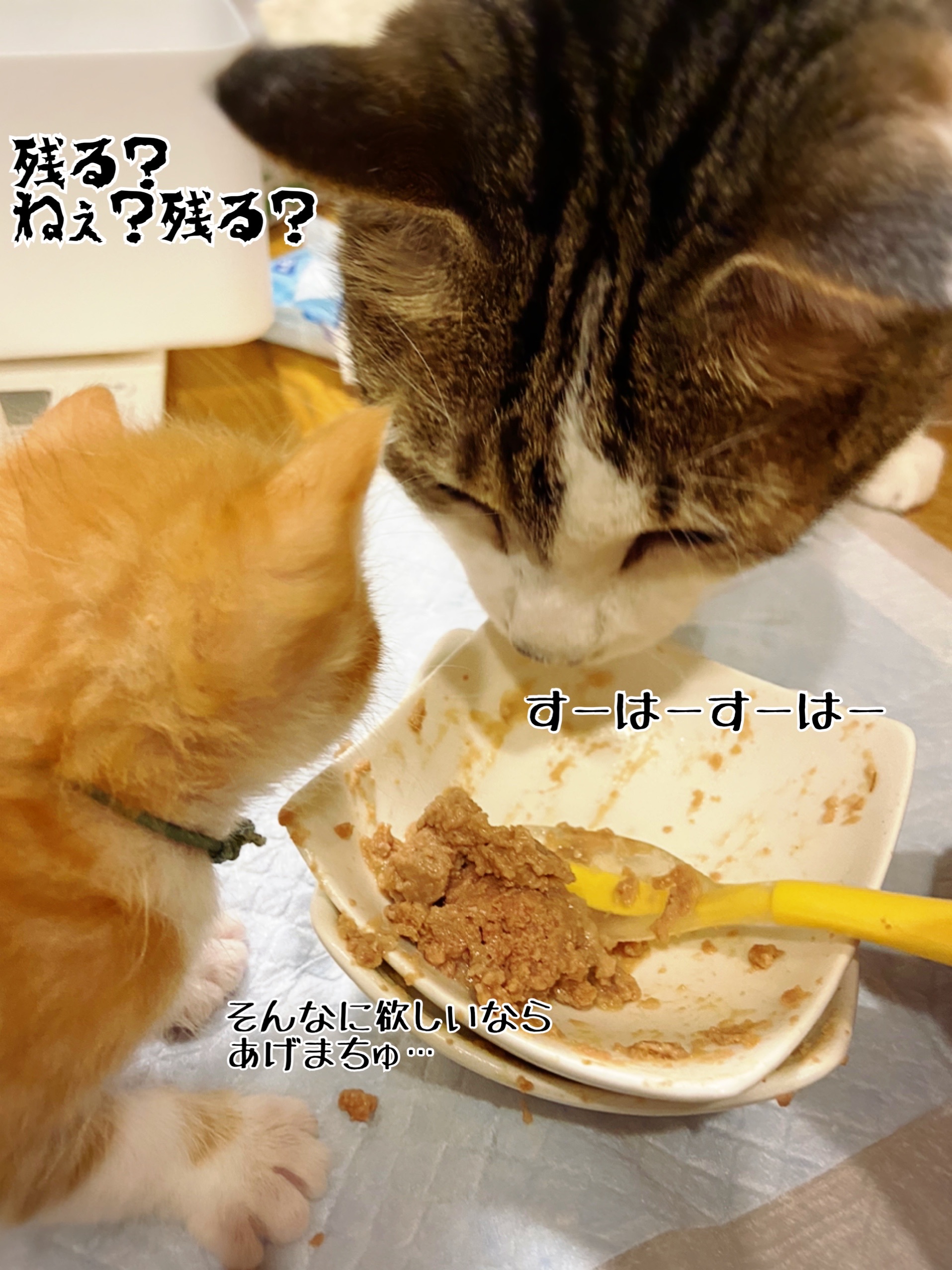 離乳食の光景 22 猫とお酒と日々のこと Powered By ライブドアブログ 離乳食の光景 22 猫とお酒と日々のこと Powered By ライブドアブログ