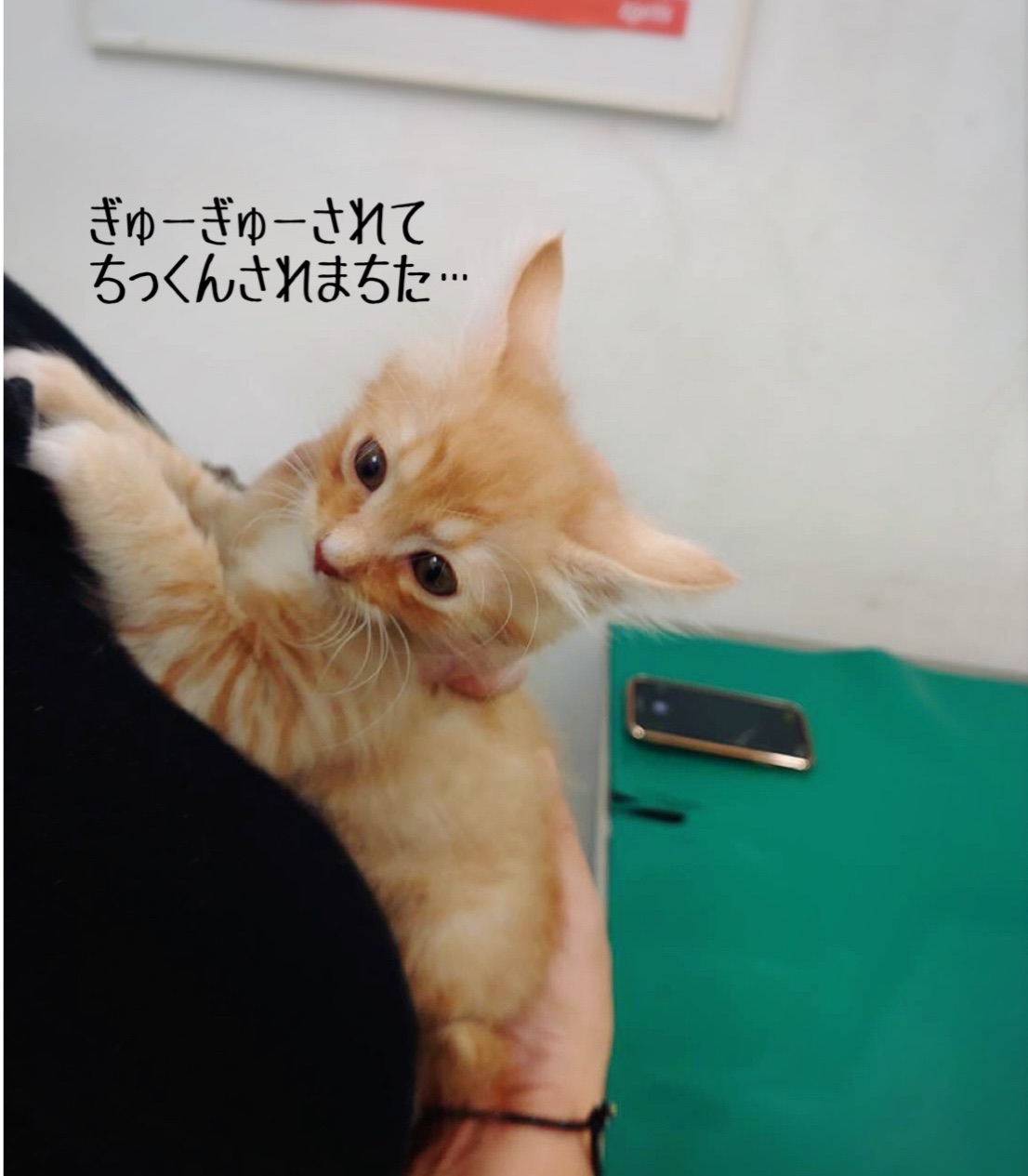 んあああああ いつから こーなった 猫とお酒と日々のこと Powered By ライブドアブログ