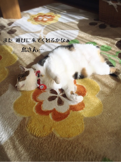 {70C65784-5A4A-4AE2-BA0B-7A1F31FB1E76:01}