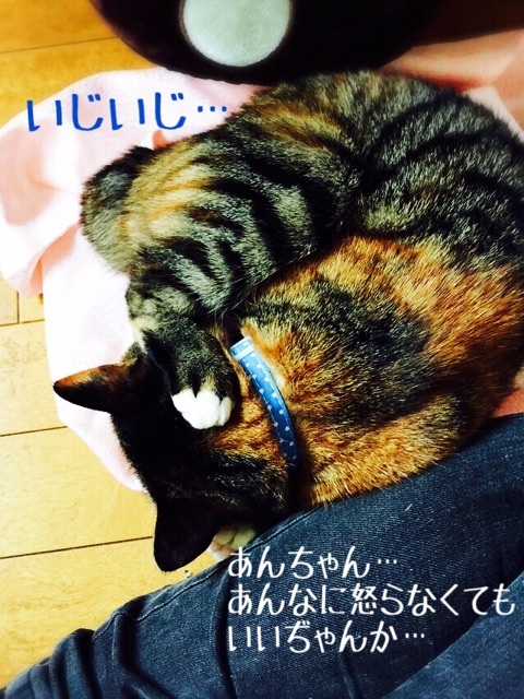 {3A863507-B5EF-431C-A3F3-0871865252B3:01}