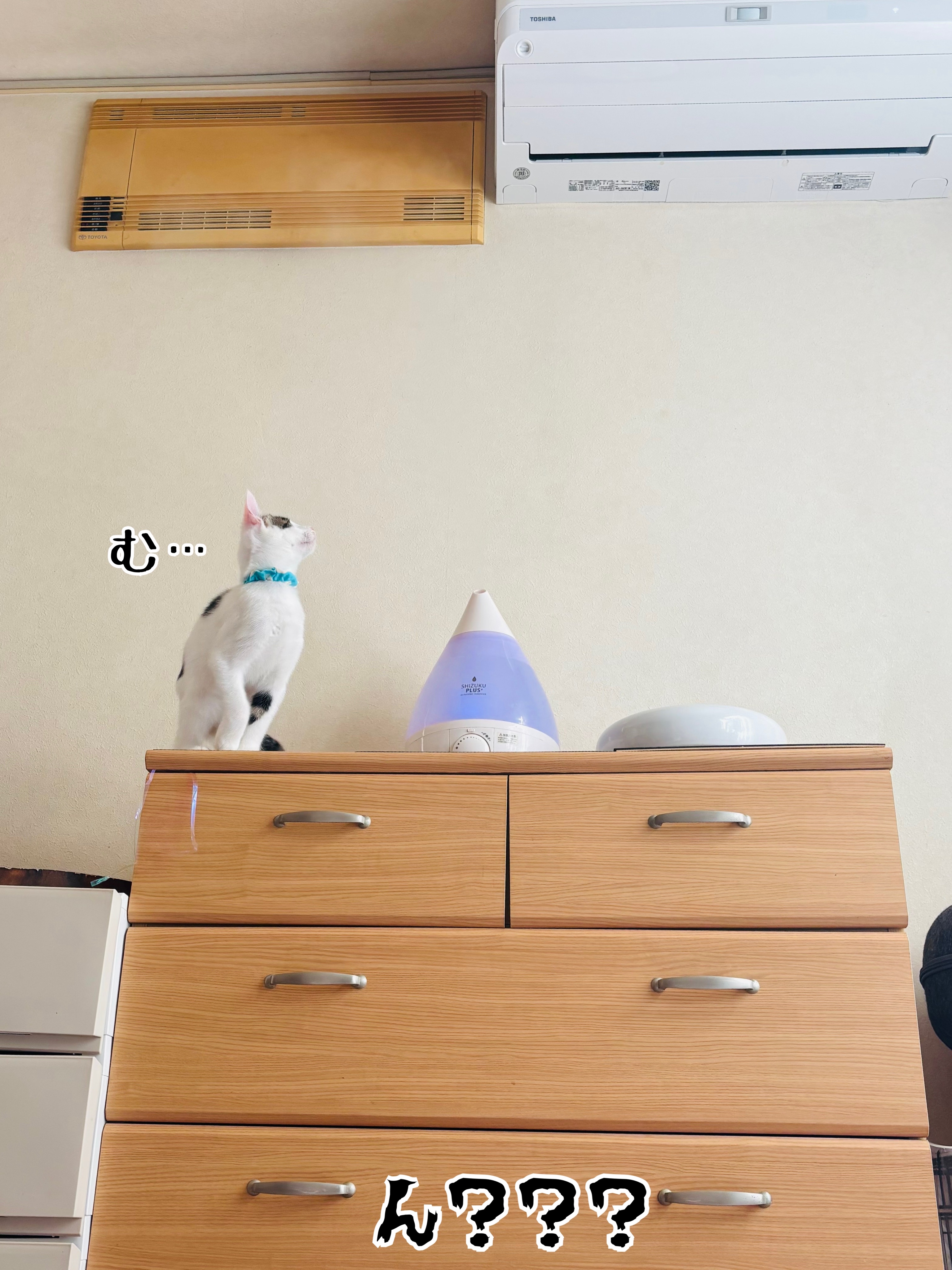 しーたんす 様 なつ様専用、桐箪笥（下部）上中下の3個口