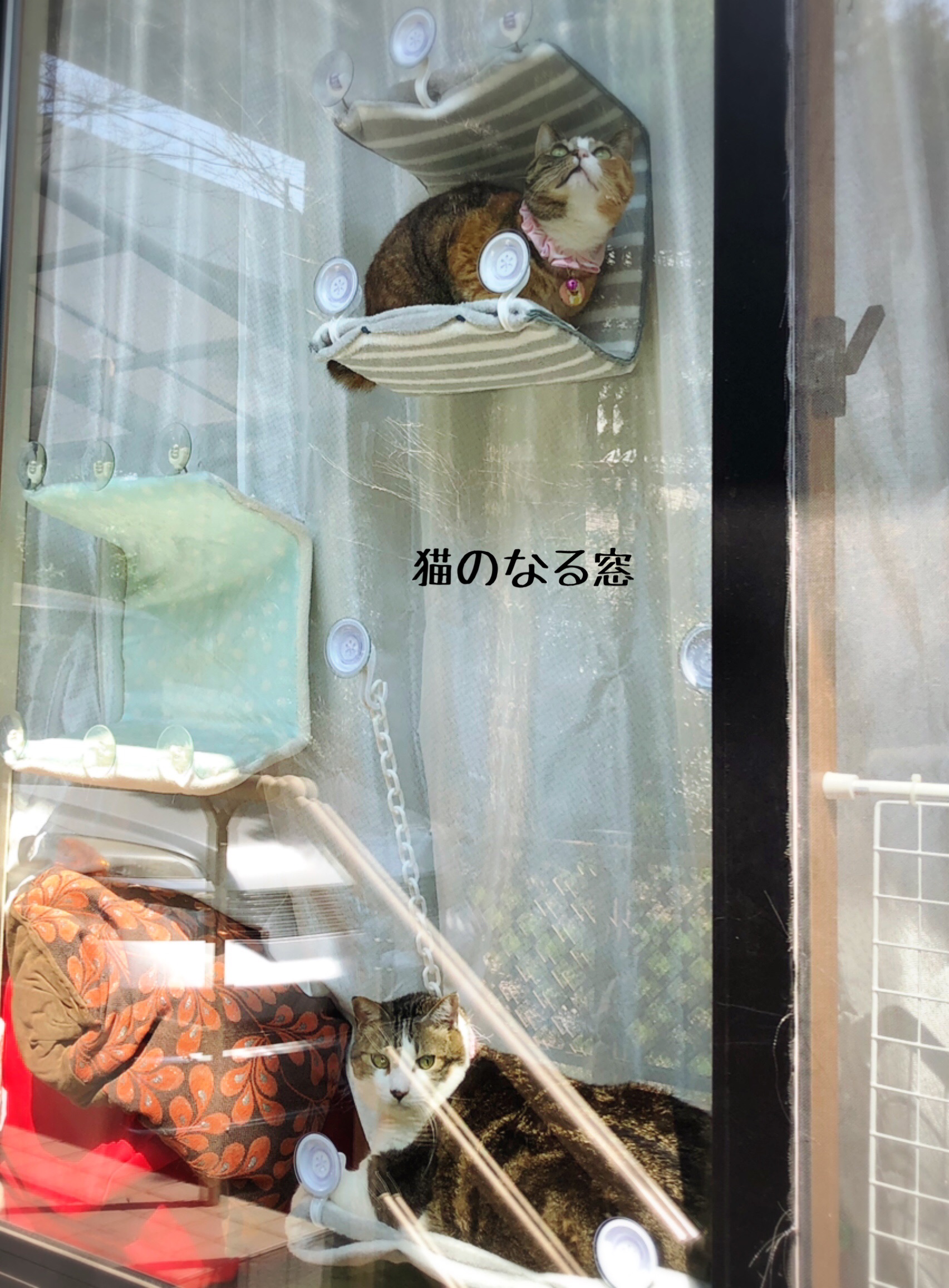 貼るベッドの作り方 猫とお酒と日々のこと Powered By ライブドアブログ