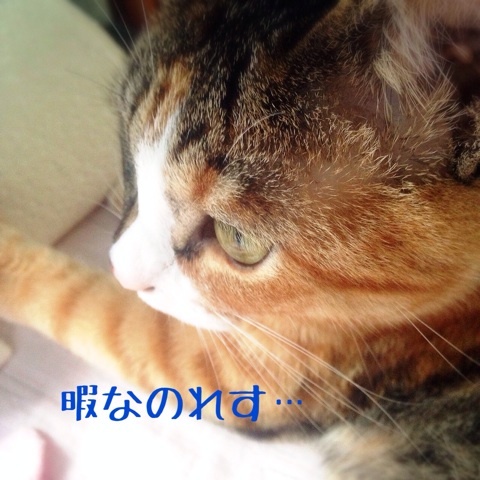 {4F0809AD-DC0D-45D8-9893-F6B926F12BB5:01}