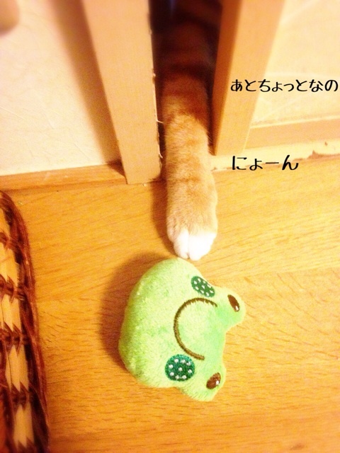 {46168CF7-23CC-4A6B-A1AA-2BB8E2409B6E:01}