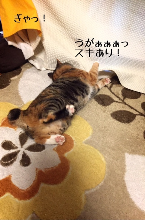 {3546A0ED-C77B-4DCD-BCDB-E60C0ECDF703}