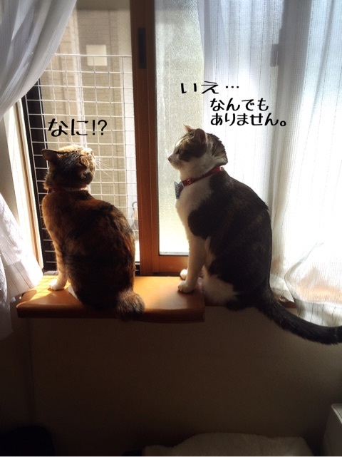 {62D8064D-C8F2-4289-8193-F81A6C2027BC}