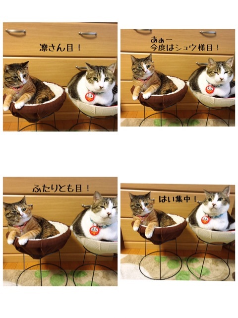 {5E69E3B6-E2BE-4F80-A3F2-DCEF07F47034}