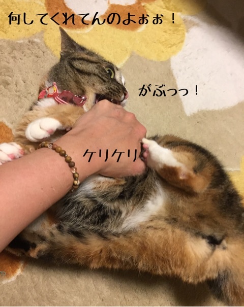 {19B1946A-4FBF-4150-BB8F-9AC418957C97}