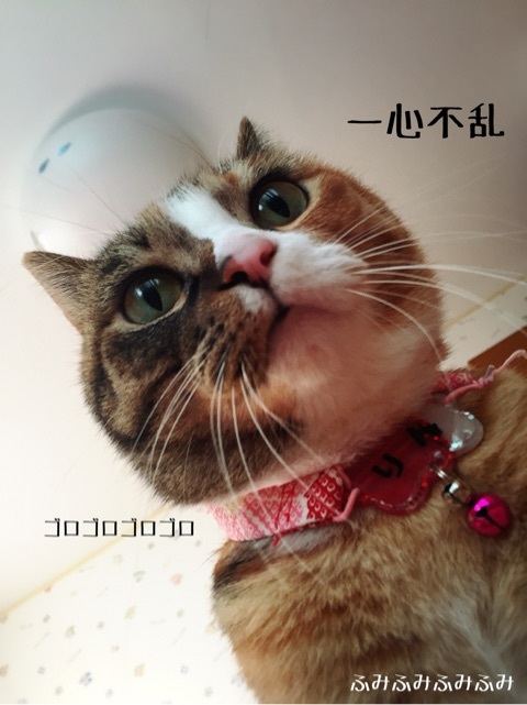 {BD9305F3-5DF1-43A5-808C-CDDE8624CABB:01}