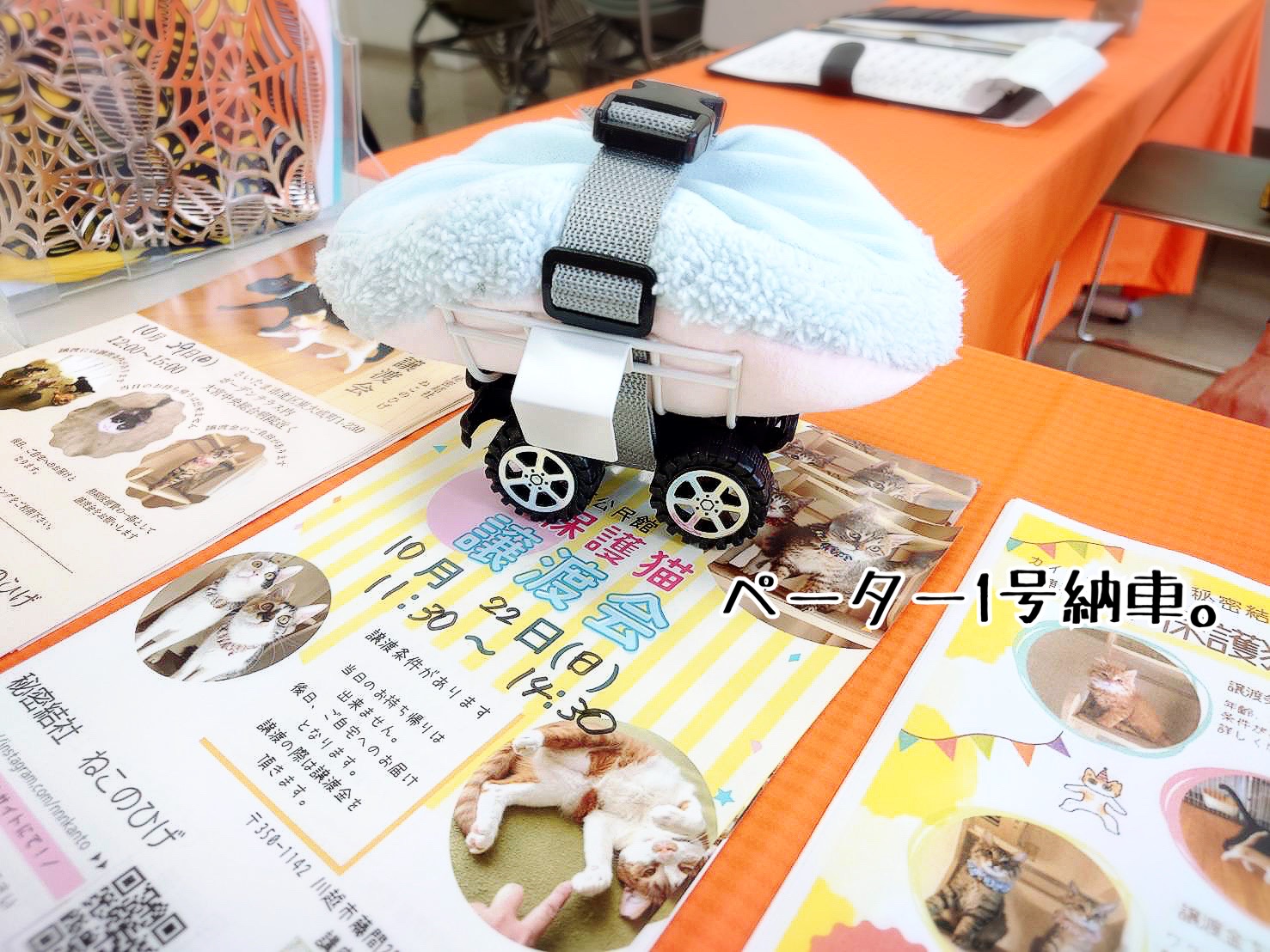猫　歩行器　手作り 猫用歩行器の作り方（リハビリ用車椅子）ひとりで歩行練習が