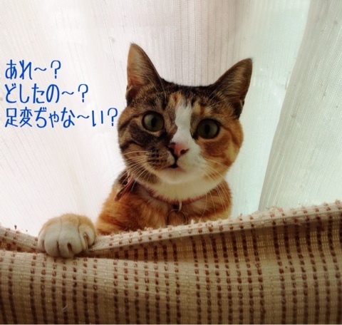 {BE1ADCE9-9372-44CA-94F1-3DC938F4CFD5:01}