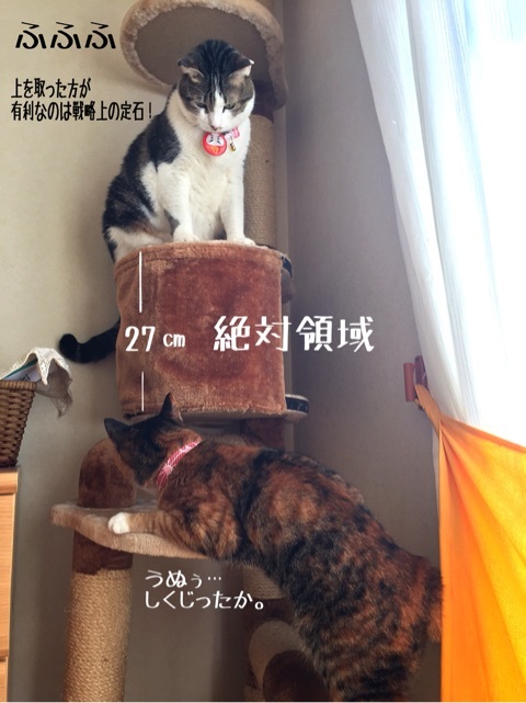 {345D7B9F-4336-45C6-98DF-990435F01DB7:01}