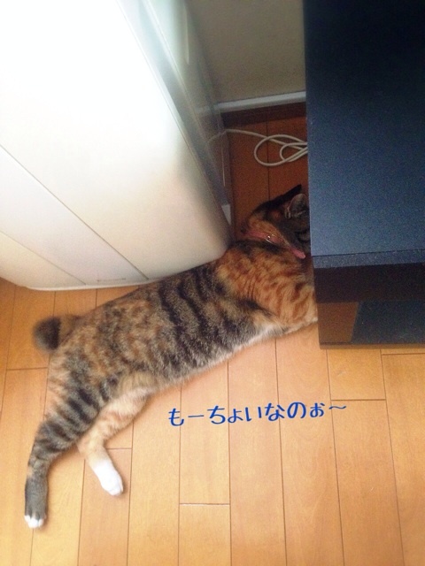 {74B21C7A-E831-4B47-9B0F-36C2855EED4F:01}