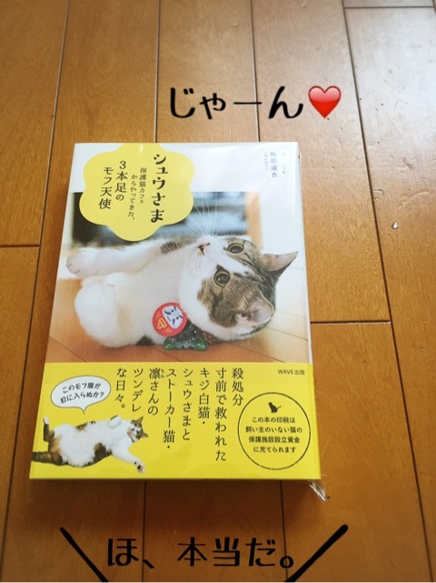 シュウさま専用ページ シュウさま本 2回目更新 : 猫とお酒と日々のこと Powered by