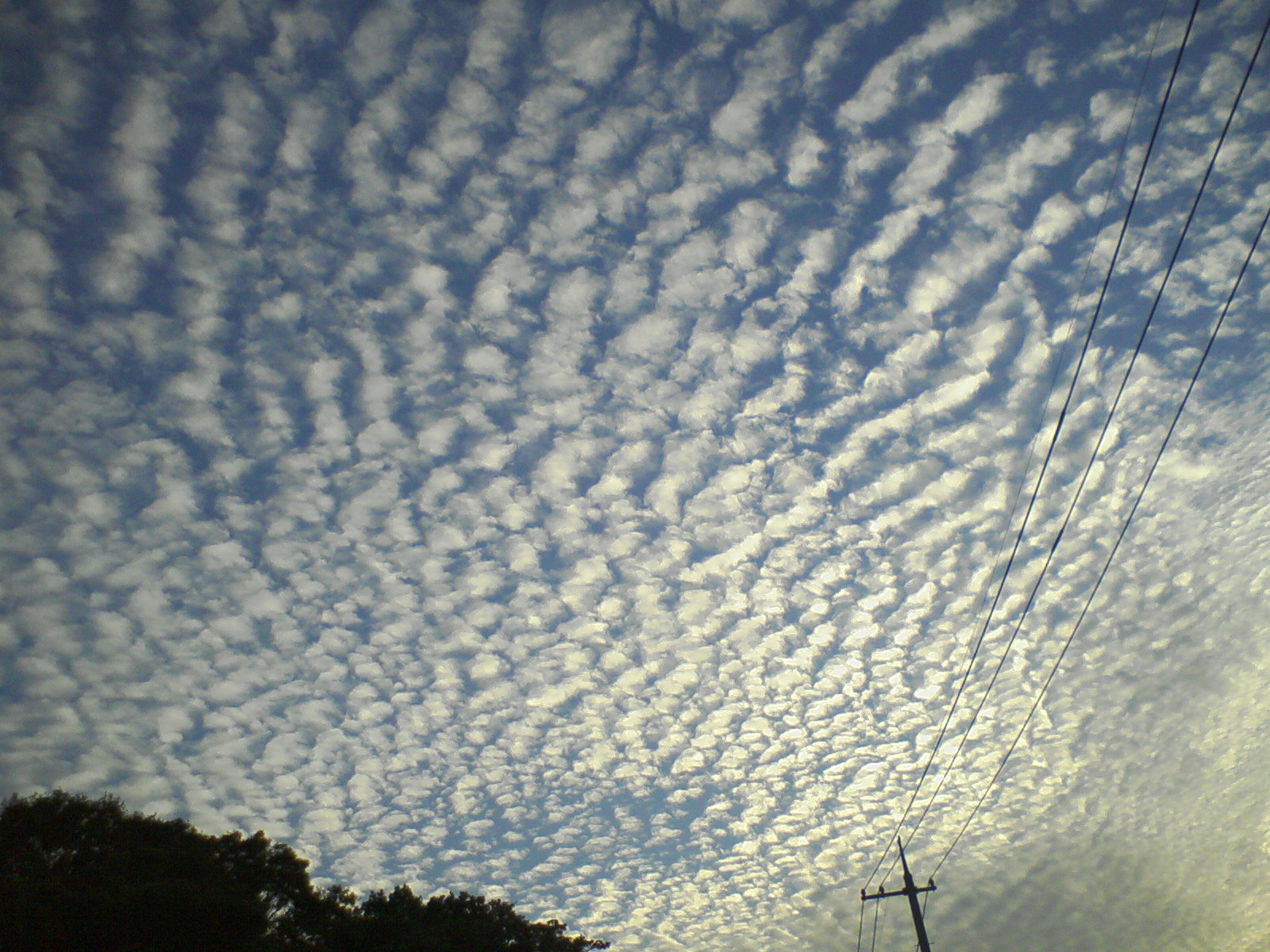 地震雲 六弦倶楽部と一寸六 むげんくらぶ ちょとろく