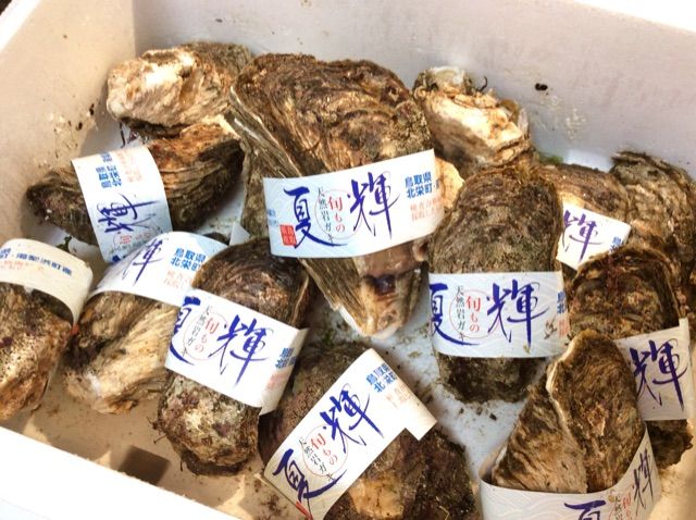 ふるさと納税 鳥取県北栄市の岩牡蠣届いた ちょっとソコマデ