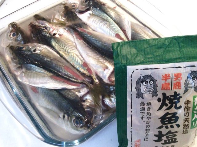 カワイイ 豆あじで作る干物 ちょっとソコマデ