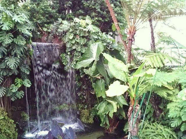 夢の島熱帯植物園 植物園はハロウィン色 ちょっとソコマデ 夢の島熱帯植物園 植物園はハロウィン色 ちょっとソコマデ