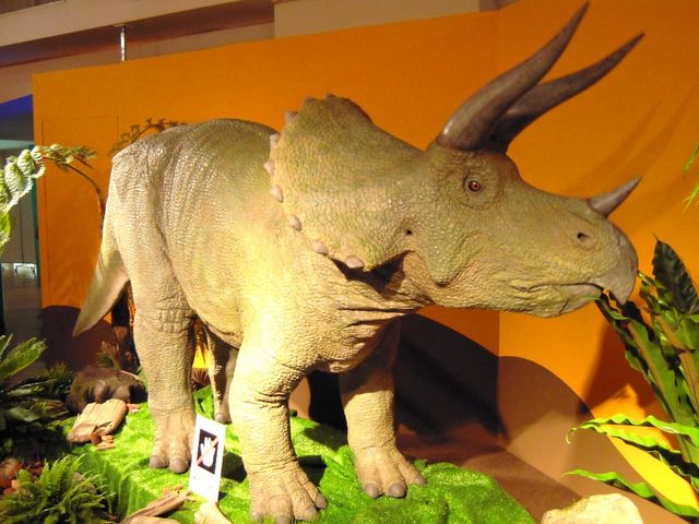 日本橋三越本店 恐竜展 原子生命からマストドンまでタイムトリップ ちょっとソコマデ