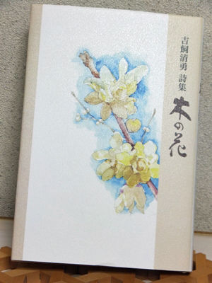 木の花