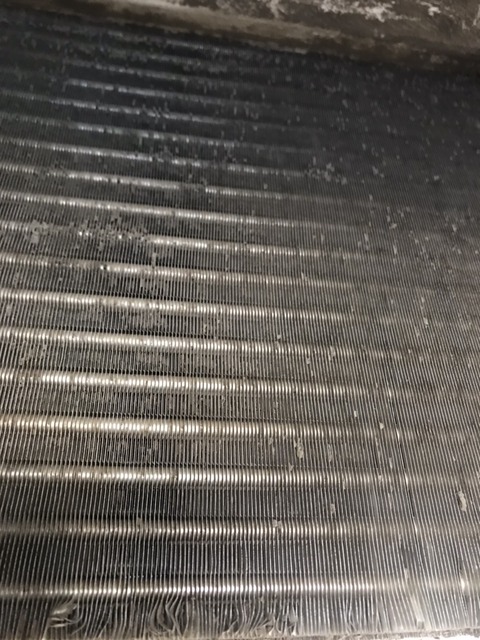 S__5488659