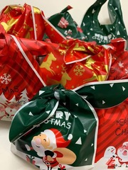 IMG_20221227_115636_498