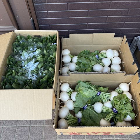 5月 (2)