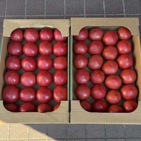 6月 (2)