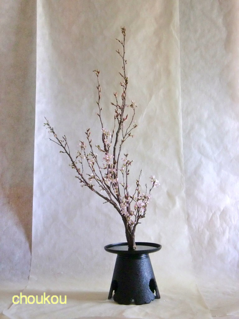 東海桜の一種生け 花に想いを