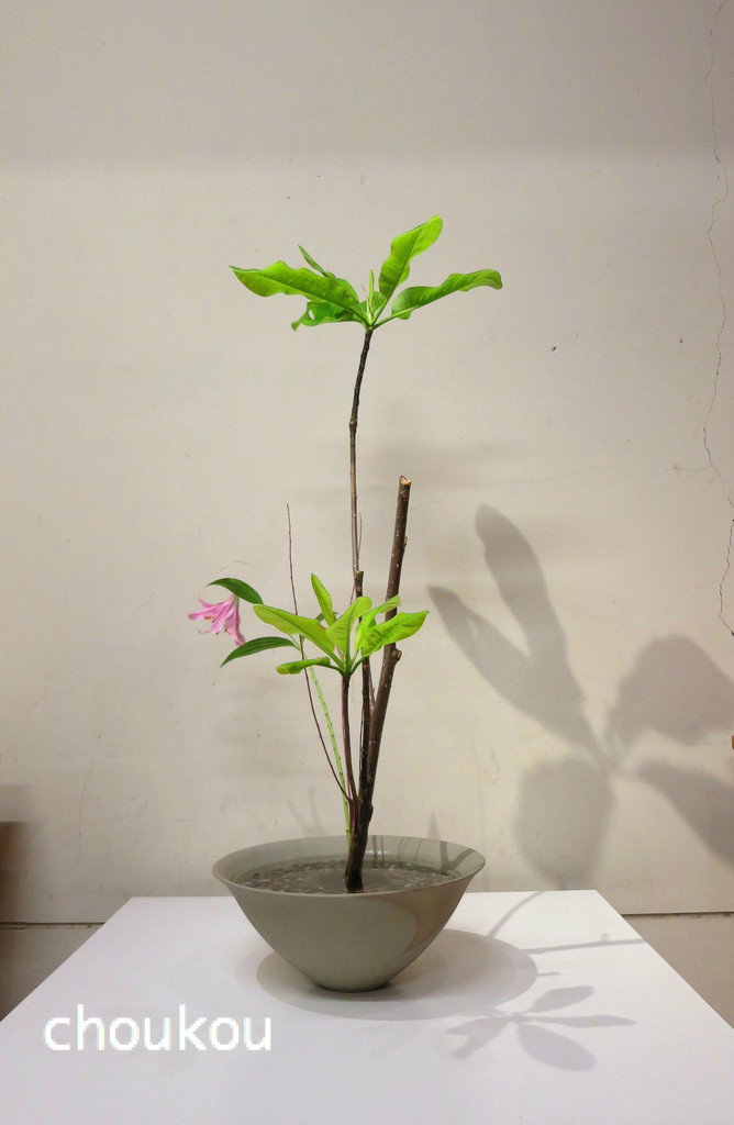 朴の木の生花新風体 花に想いを