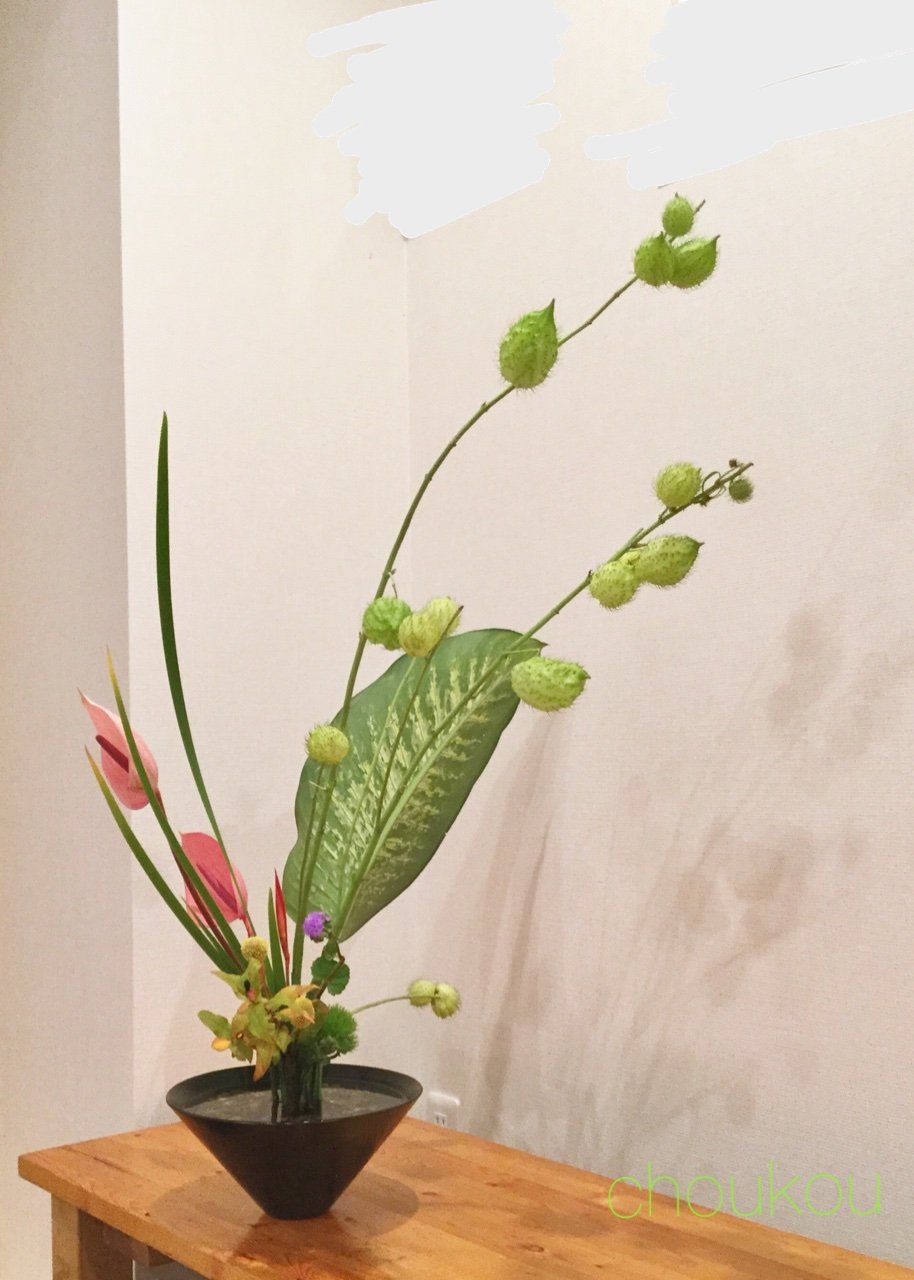 風船唐綿の立花新風体 花に想いを