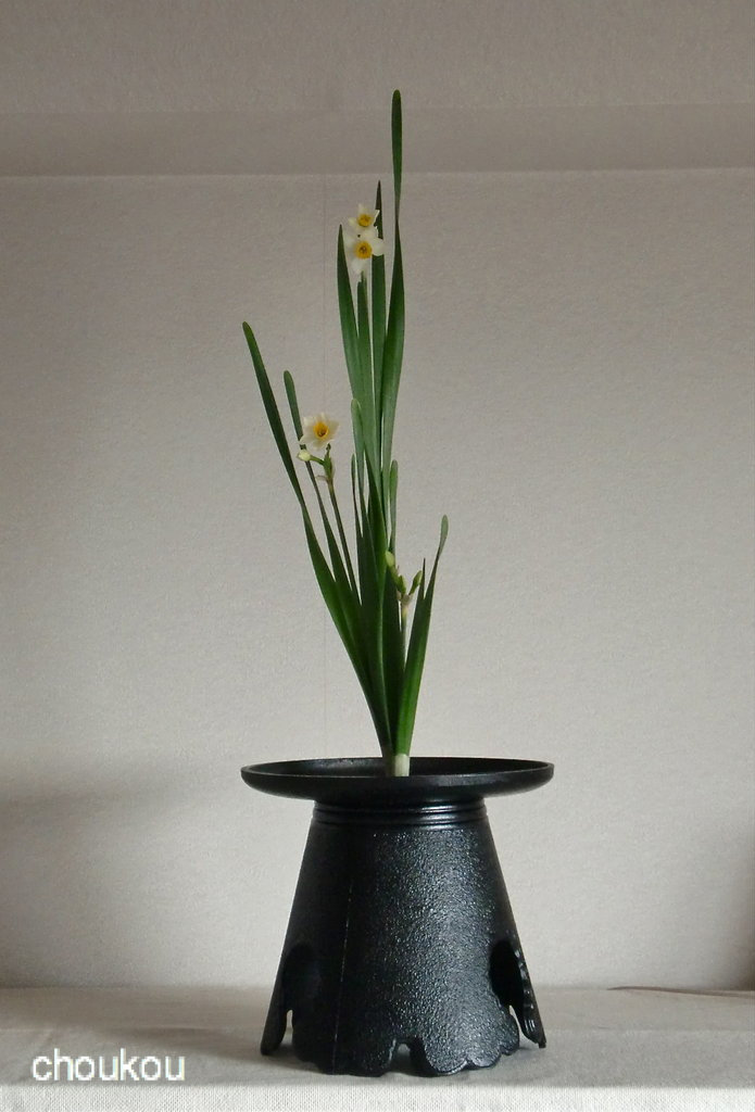 水仙三本生け : 花に想いを