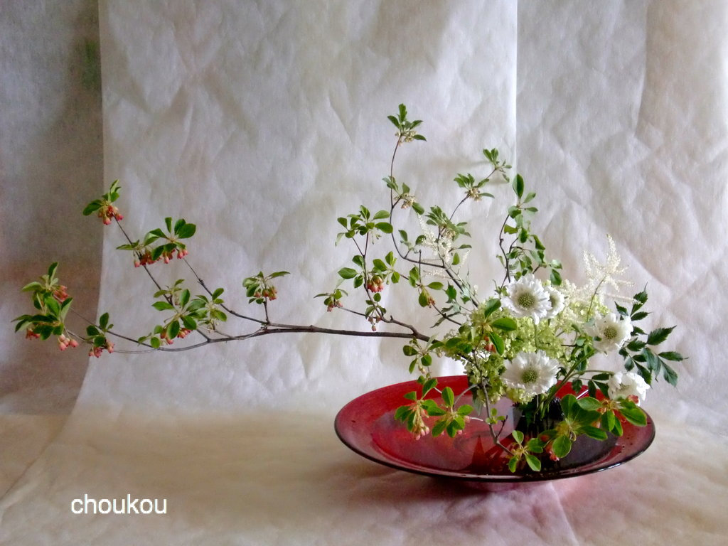 ドウダンツツジとスカビオーサの自由花 水盤 花に想いを ドウダンツツジとスカビオーサの自由花 水盤 花に想いを
