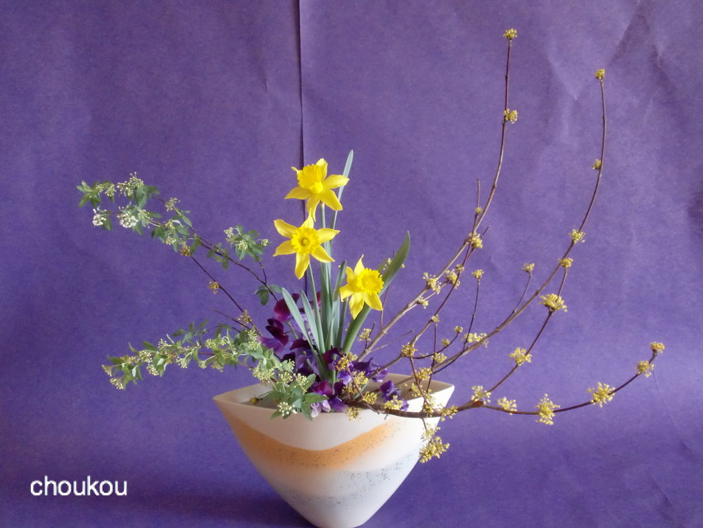 ラッパ水仙とサンシュユで自由花 花に想いを