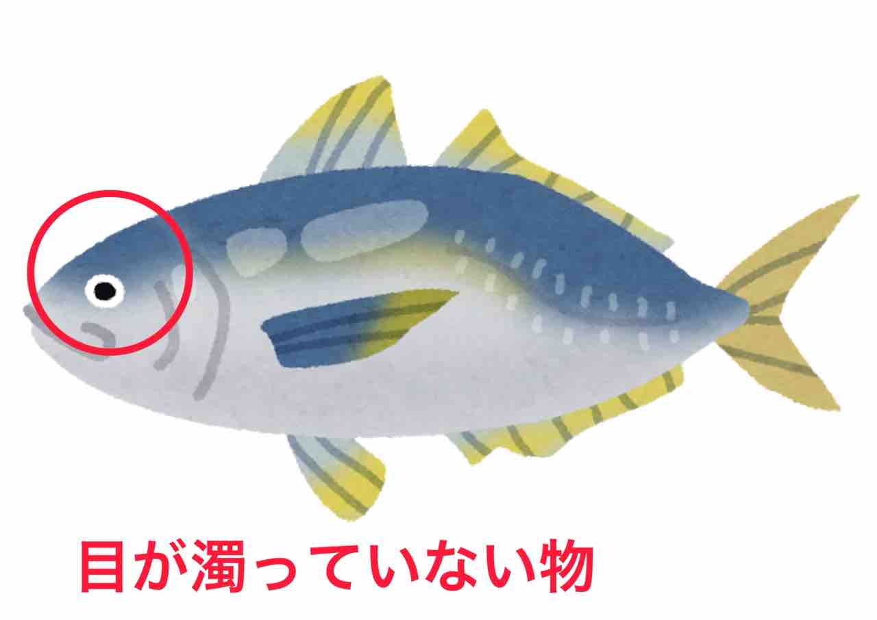 アジ を食べると頭が良くなる 気分屋の台所 アジ を食べると頭が良くなる 気分屋の台所