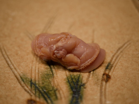 P1080497