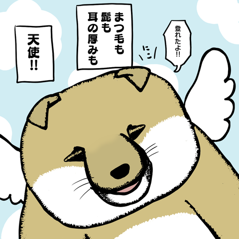 37-6