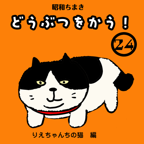 24-1