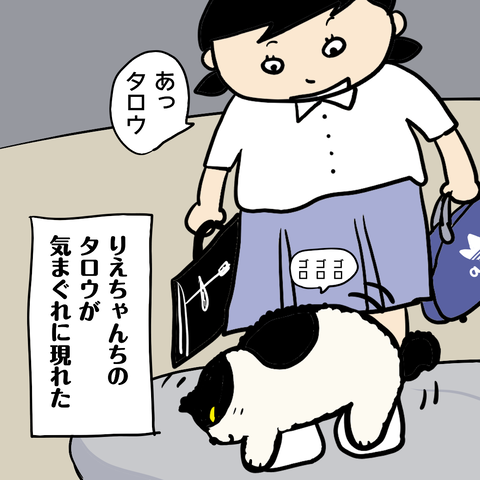 20-5
