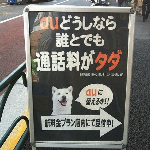 auが広告に犬を使う(拡大表示)