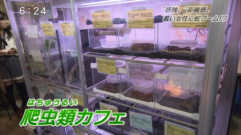 ヘビブーム３(拡大表示)