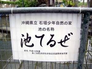 沖縄の池(拡大表示)
